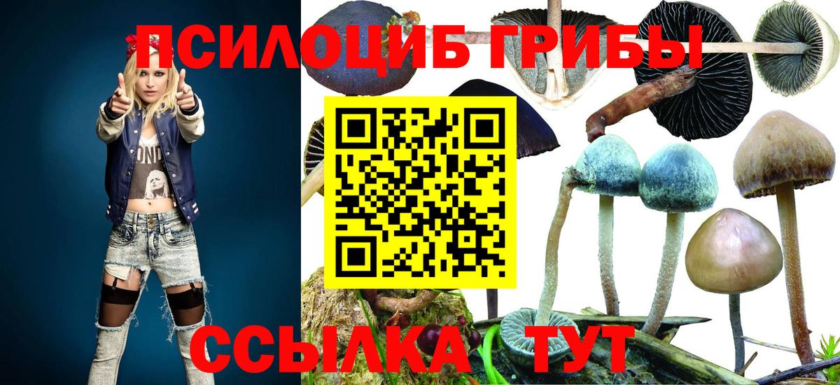 Галлюциногенные грибы Cubensis Ессентуки