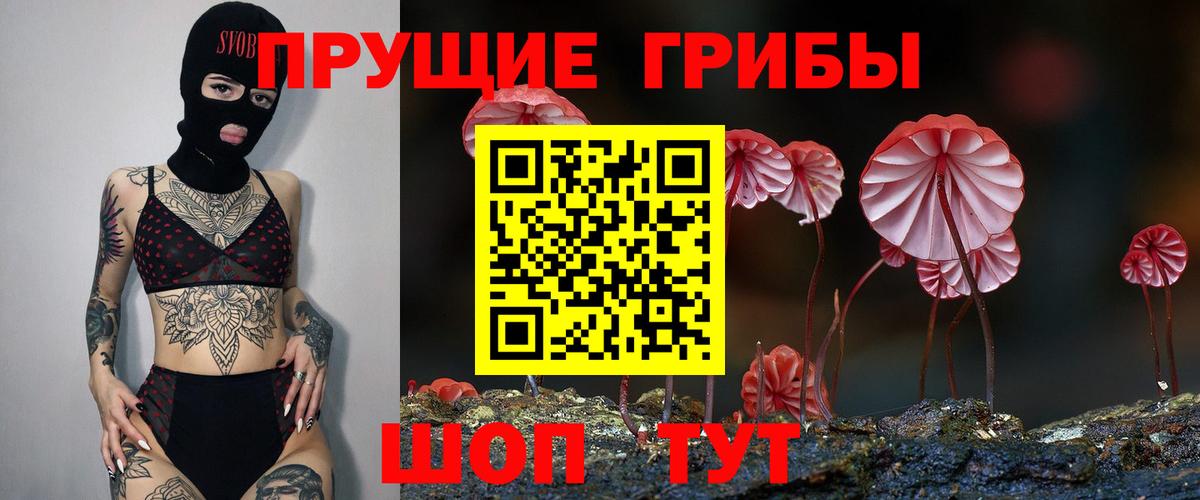 Галлюциногенные грибы мицелий  Псилоцибиновые грибы ЛСД  Вход с VPN  Ессентуки 