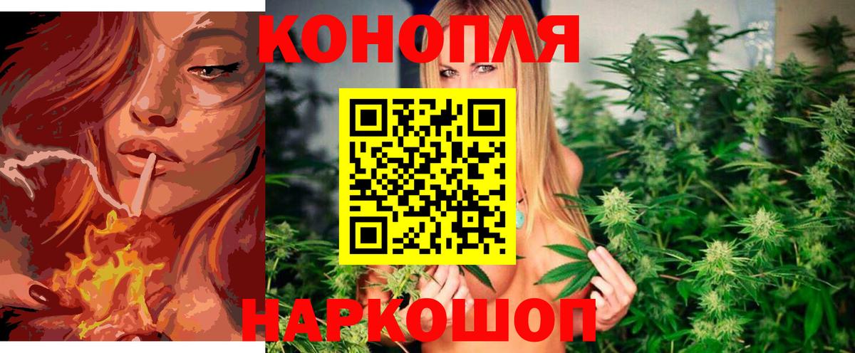 Конопля THC 21%  Вход с VPN  Ессентуки  Канабис семена 